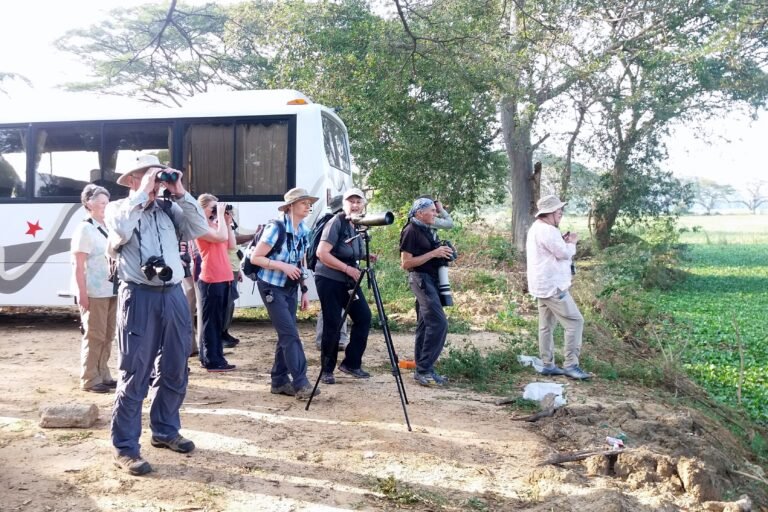 A group of enthusiastic birders from the UK enjoying a peaceful morning with water birds at the scenic Tissa Lake — a paradise for bird lovers in southern Sri Lanka.